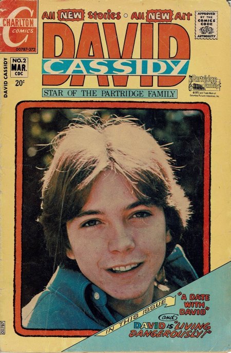David Cassidy #2 (1972) | Charlton Tales Cover Image