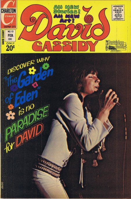 David Cassidy #10 (1973) | Charlton Tales Cover Image