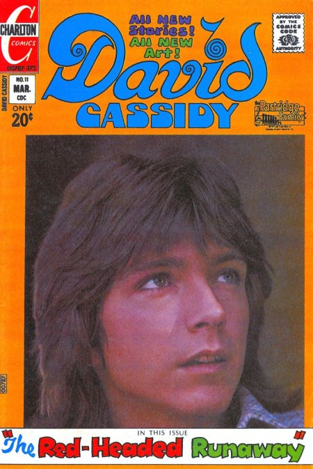 David Cassidy #11 (1973) | Charlton Tales Cover Image