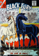 Black Fury #54