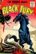 Black Fury #7