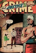 Crime and Justice #13