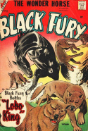 Black Fury #11