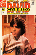 David Cassidy #1