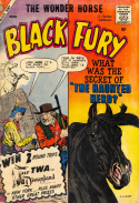 Black Fury #23