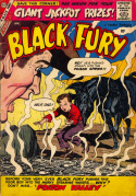 Black Fury #19