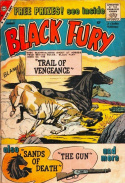 Black Fury #22