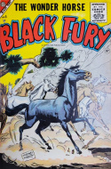 Black Fury #5