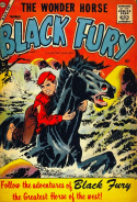 Black Fury #12