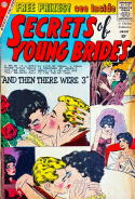 Secrets of Young Brides #17