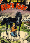 Black Fury #16