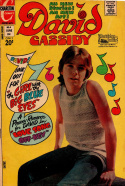 David Cassidy #4