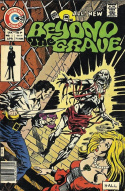 Beyond the Grave #5