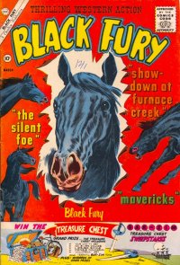 Black Fury 29