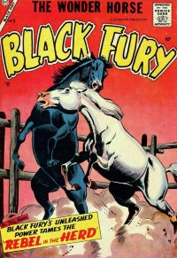 Black Fury 9