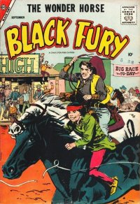 Black Fury 15