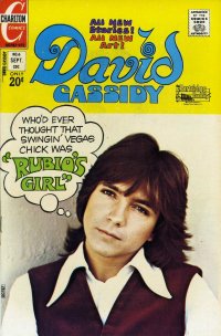 David Cassidy 6