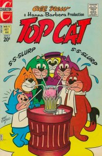Top Cat 13