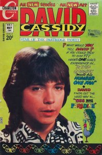 David Cassidy 3