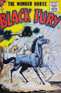 Black Fury 5