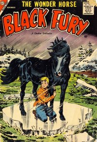 Black Fury 16