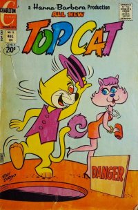 Top Cat 12
