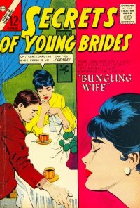 Secrets of Young Brides 41