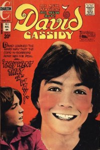 David Cassidy 5