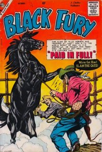 Black Fury 21