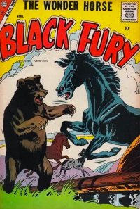 Black Fury 13