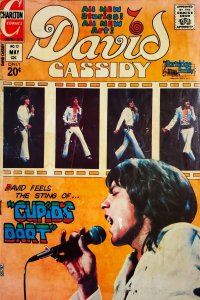 David Cassidy 12