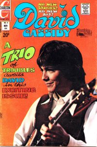 David Cassidy 8